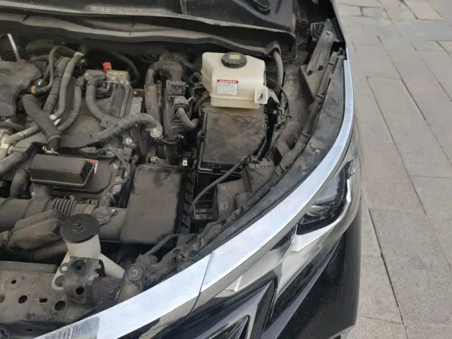 Toyota Sienna — Фото автомобиля 21