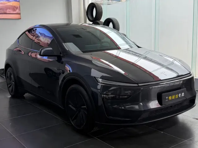 Tesla Model Y — Фото автомобиля 3