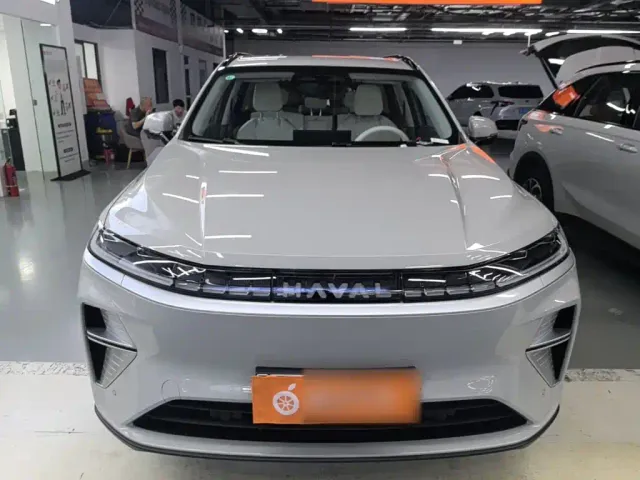 Haval Xiaolong MAX — Фото автомобиля 2