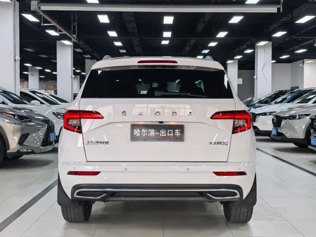 Skoda Karoq — Фото автомобиля 21