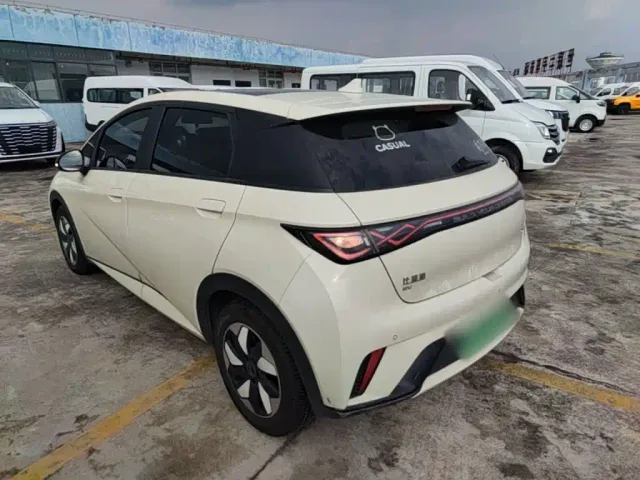 BYD Dolphin — Фото автомобиля 4