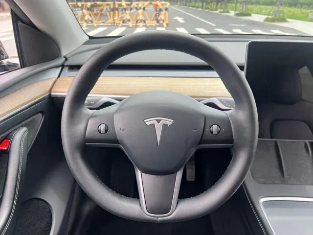 Tesla Model Y — Фото автомобиля 17
