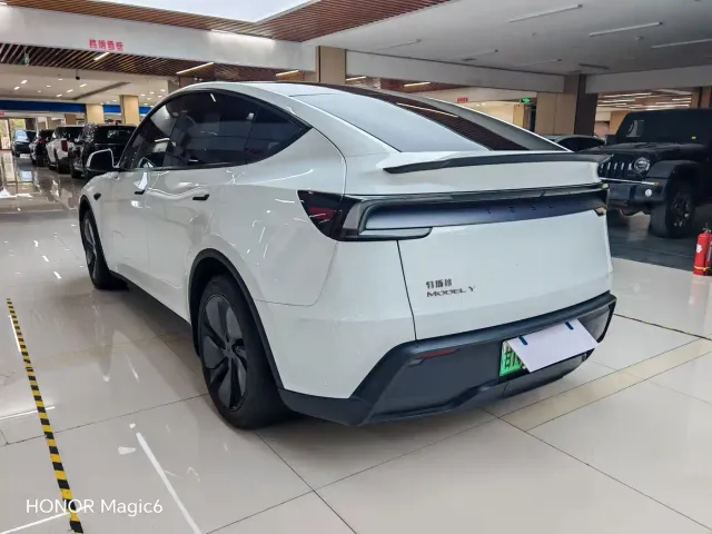 Tesla Model Y — Фото автомобиля 4