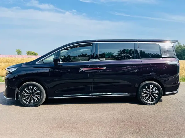 Hongqi HQ9 PHEV — Фото автомобиля 4