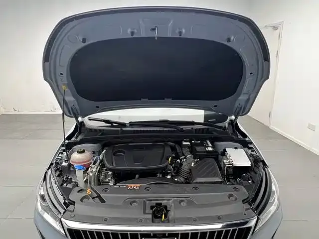 Geely Emgrand — Фото автомобиля 15
