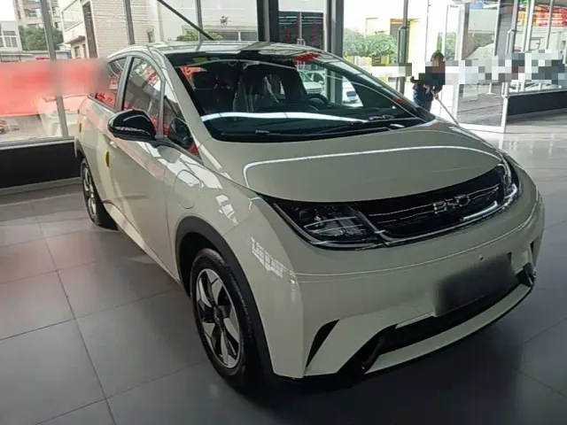 BYD Dolphin — Фото автомобиля 3