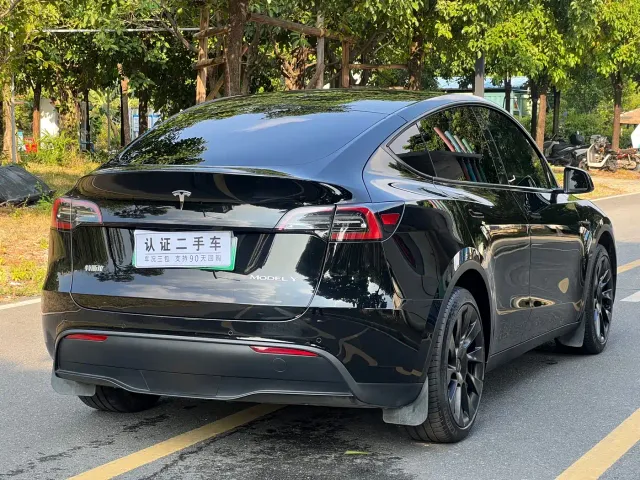 Tesla Model Y — Фото автомобиля 9