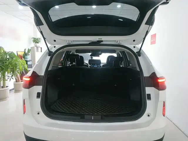 Haval H6 — Фото автомобиля 14