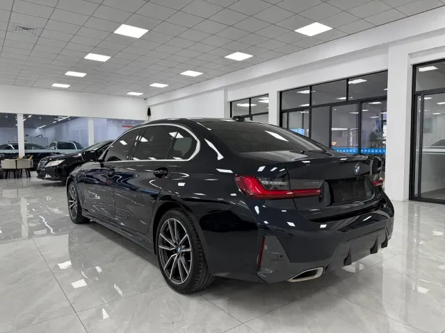 BMW 3 Series — Фото автомобиля 7
