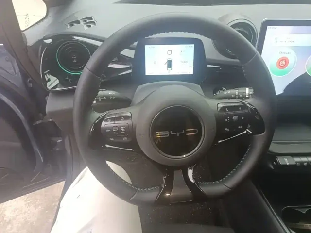 BYD Dolphin — Фото автомобиля 10