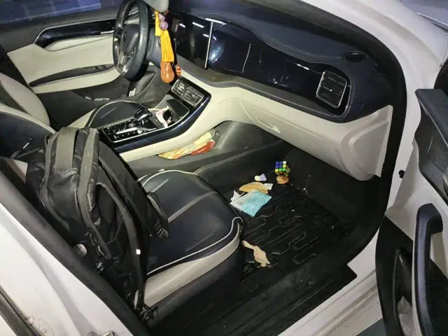 BYD Qin PLUS — Фото автомобиля 10