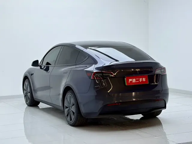 Tesla Model Y — Фото автомобиля 9