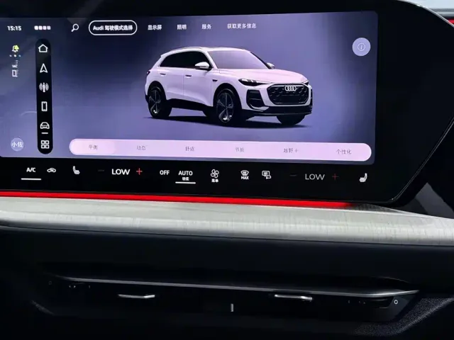 Audi Q5L — Фото автомобиля 16