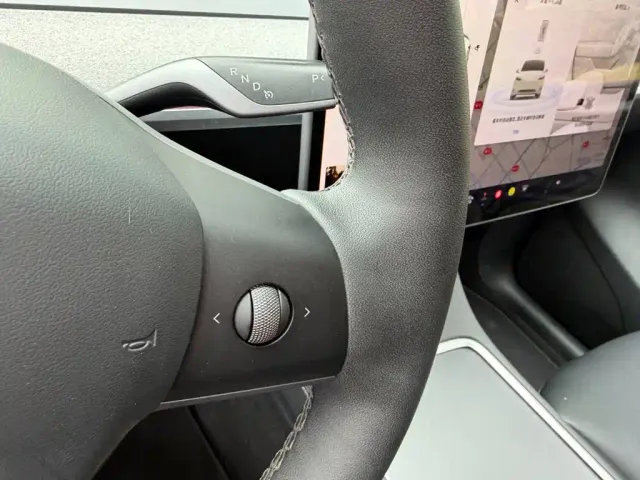 Tesla Model Y — Фото автомобиля 10