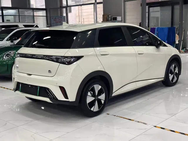 BYD Dolphin — Фото автомобиля 4
