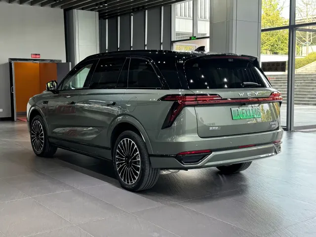 Wey Lanshan — Фото автомобиля 7