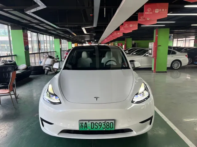 Tesla Model Y — Фото автомобиля 2