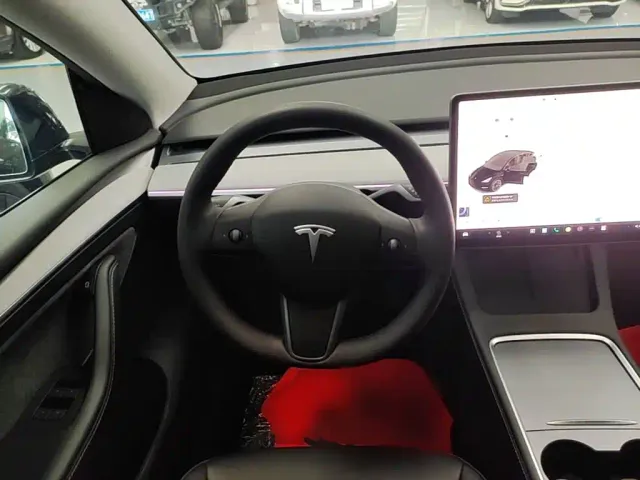 Tesla Model Y — Фото автомобиля 10