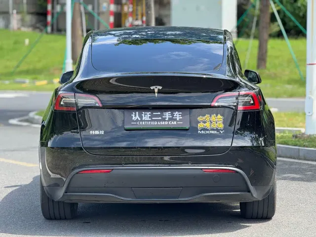 Tesla Model Y — Фото автомобиля 12