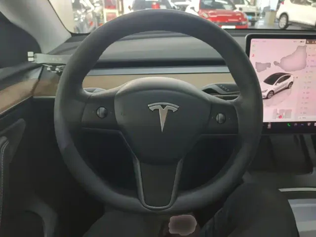 Tesla Model Y — Фото автомобиля 10