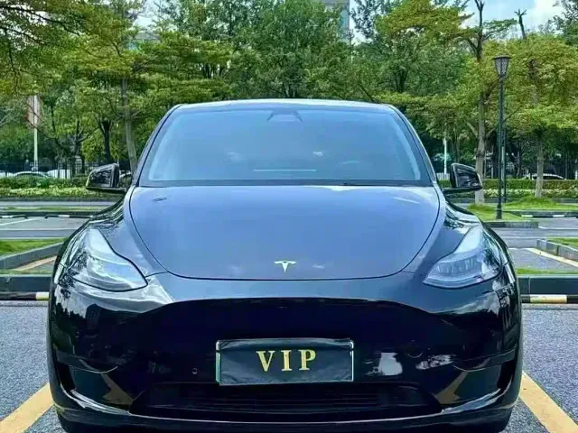 Tesla Model Y — Фото автомобиля 2