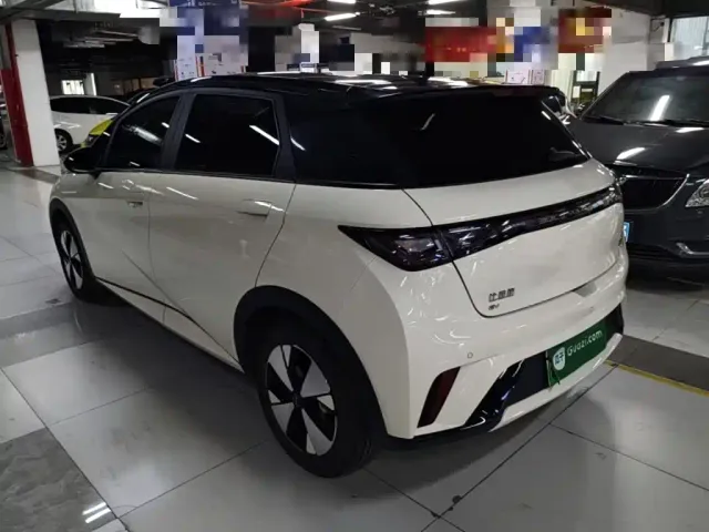 BYD Dolphin — Фото автомобиля 4