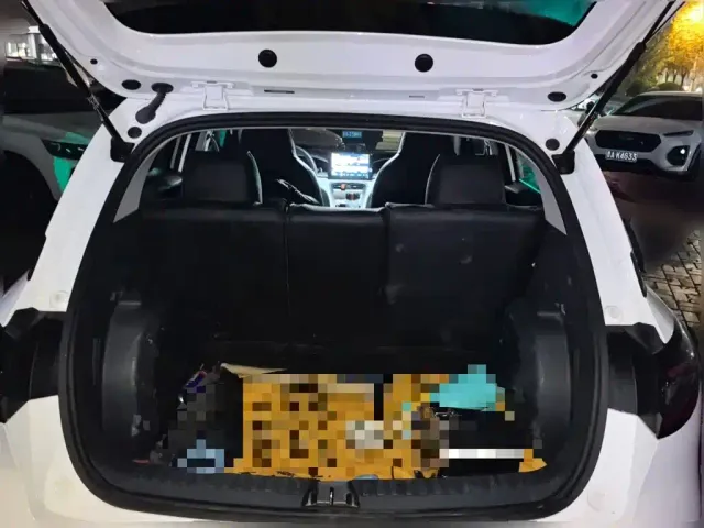 Geely Starry Wish — Фото автомобиля 15