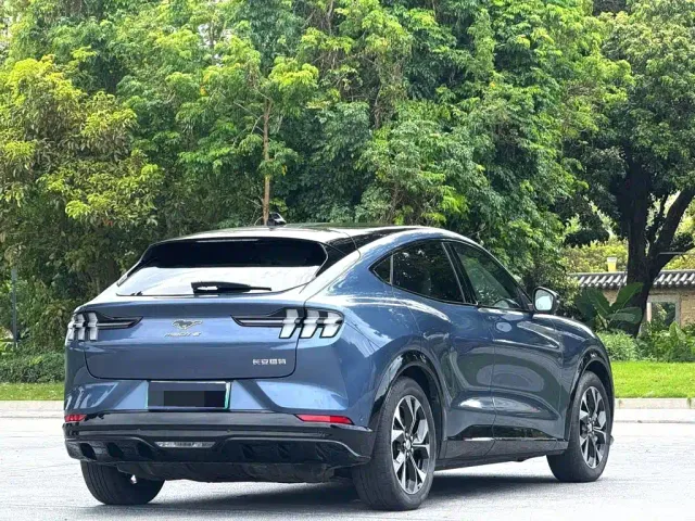 Ford Mustang Mach-E — Фото автомобиля 6