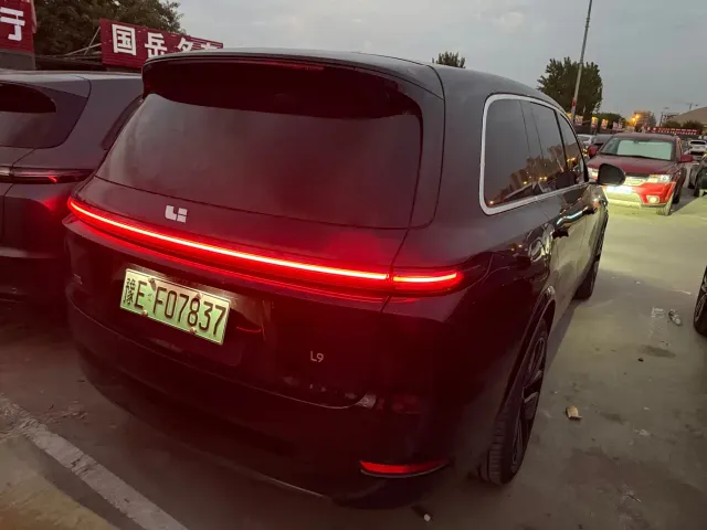 Li Auto L9 — Фото автомобиля 7