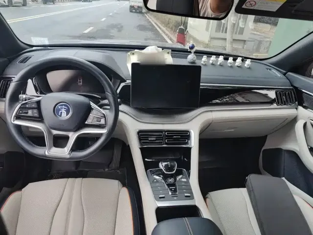 BYD Song PLUS — Фото автомобиля 10