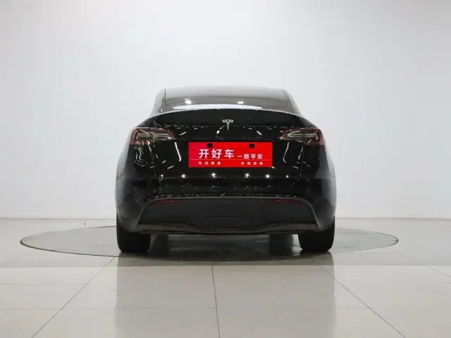Tesla Model Y — Фото автомобиля 5