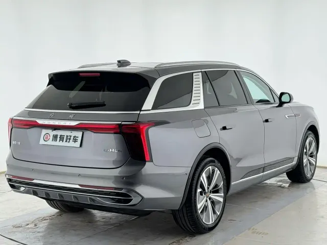 Hongqi Hongqi E-HS9 2021 460km Flagship Comfort 6-seater — Фото автомобиля 15