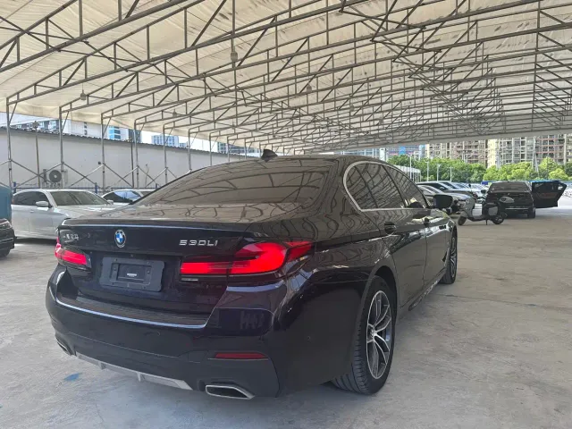 BMW 5 Series — Фото автомобиля 5
