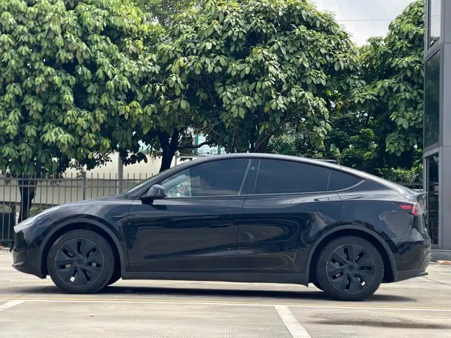 Tesla Model Y — Фото автомобиля 3