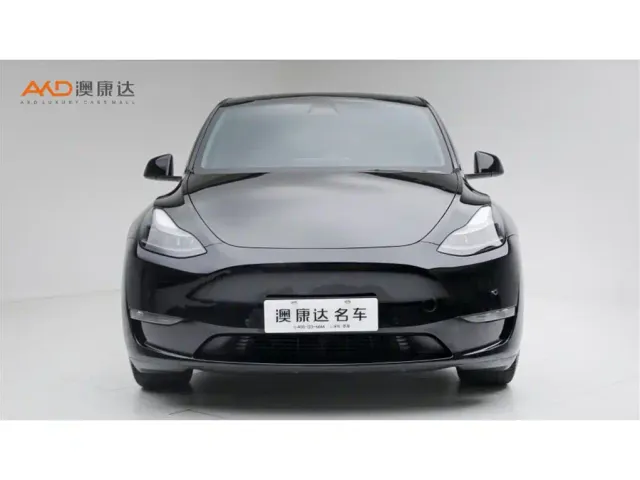 Tesla Model Y — Фото автомобиля 2