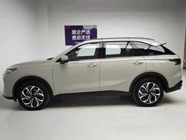 Haval Xiaolong MAX — Фото автомобиля 9