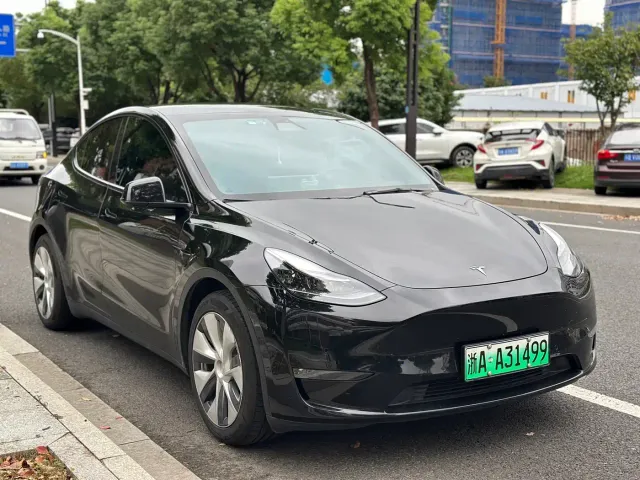 Tesla Model Y — Фото автомобиля 2