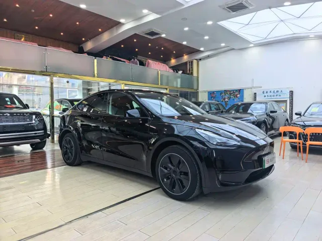 Tesla Model Y — Фото автомобиля 3