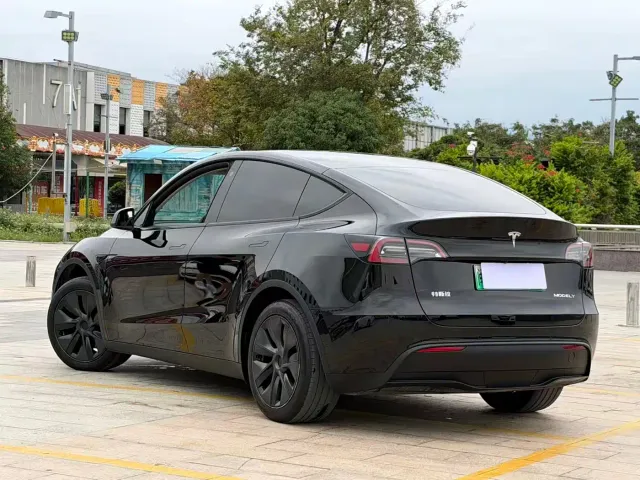 Tesla Model Y — Фото автомобиля 4