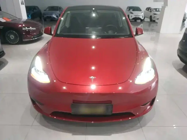 Tesla Model Y — Фото автомобиля 2