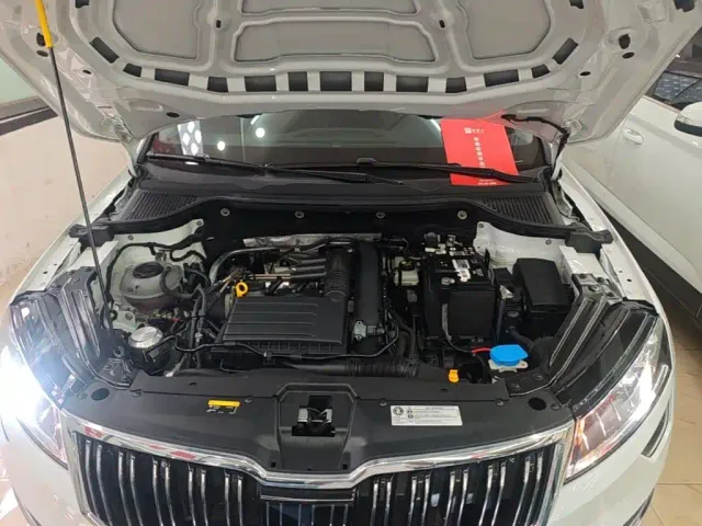 Skoda Karoq — Фото автомобиля 19