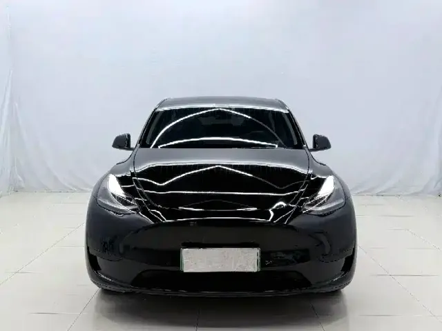 Tesla Model Y — Фото автомобиля 2