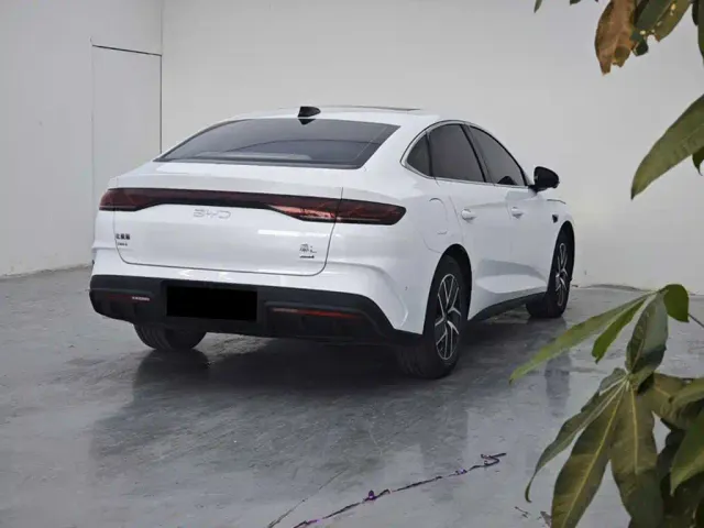 BYD Qin L — Фото автомобиля 6