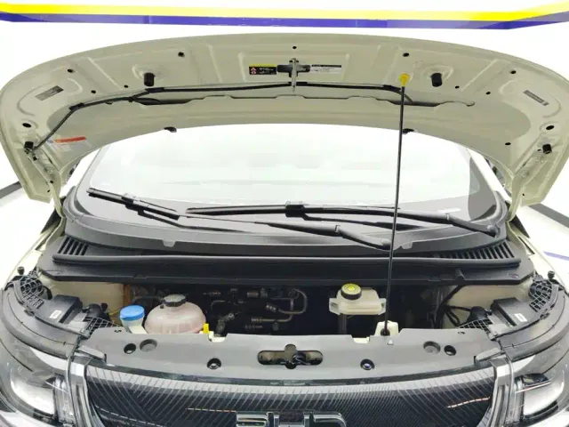 BYD Dolphin — Фото автомобиля 10