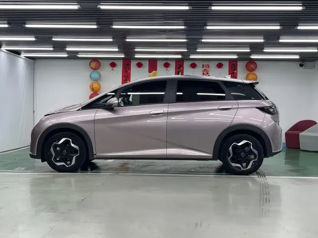 BYD Dolphin — Фото автомобиля 4