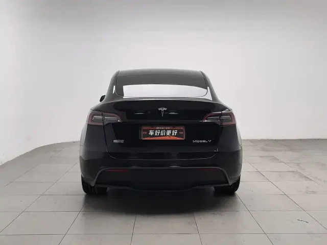Tesla Model Y — Фото автомобиля 4