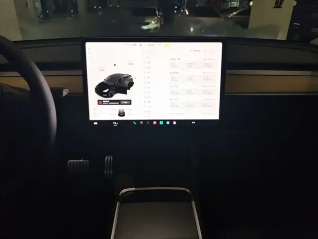 Tesla Model Y — Фото автомобиля 12