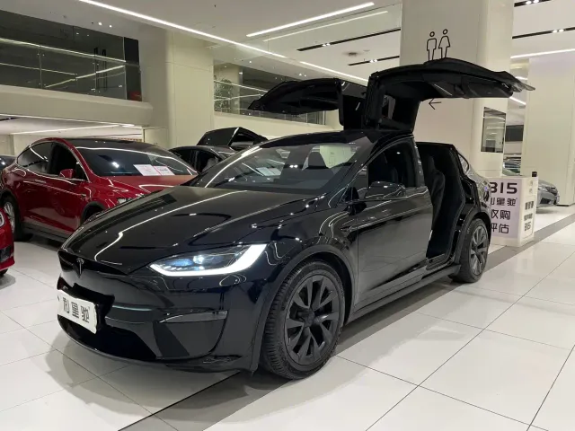 Фотография автомобиля — Tesla Model X