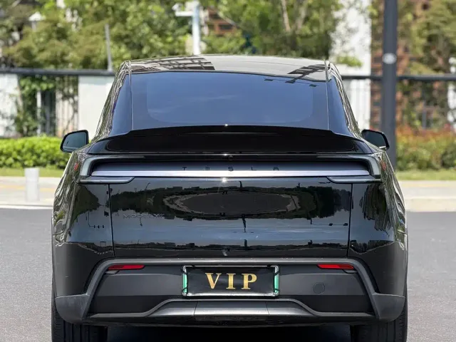 Tesla Model Y L — Фото автомобиля 9