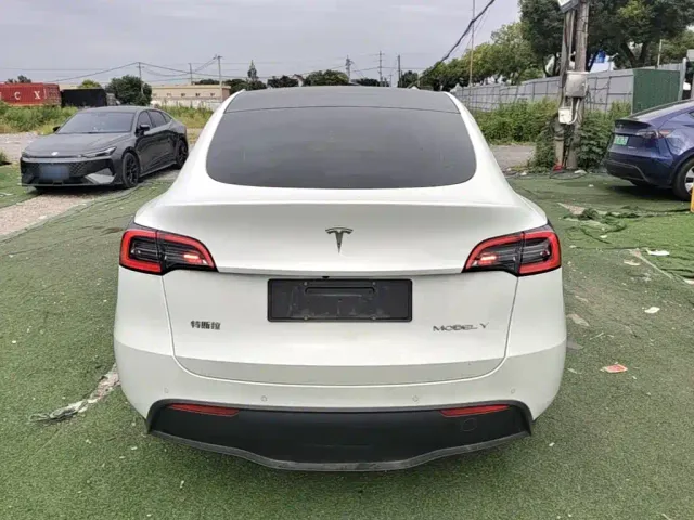 Tesla Model Y — Фото автомобиля 5